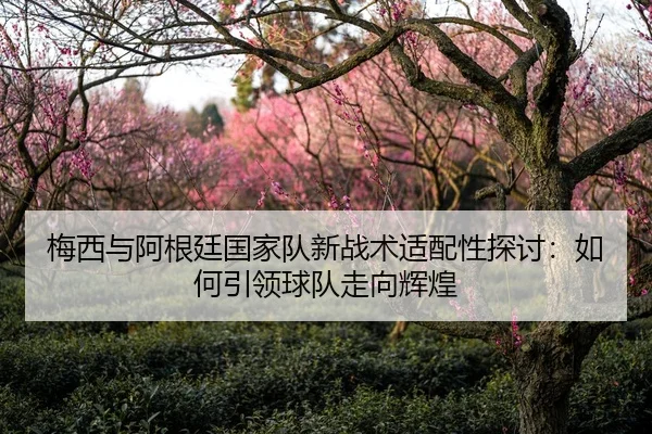 梅西与阿根廷国家队新战术适配性探讨：如何引领球队走向辉煌